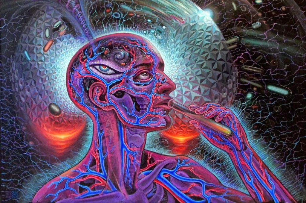 Communication with Discarnate Entities Induced by DMT